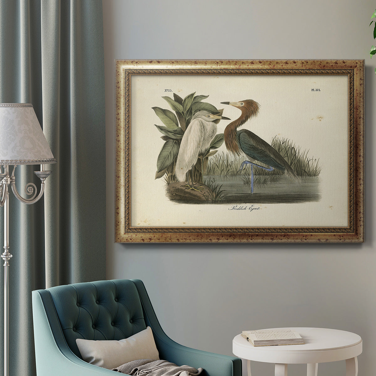 Audubons Reddish Egret Premium Framed Canvas- Ready to Hang