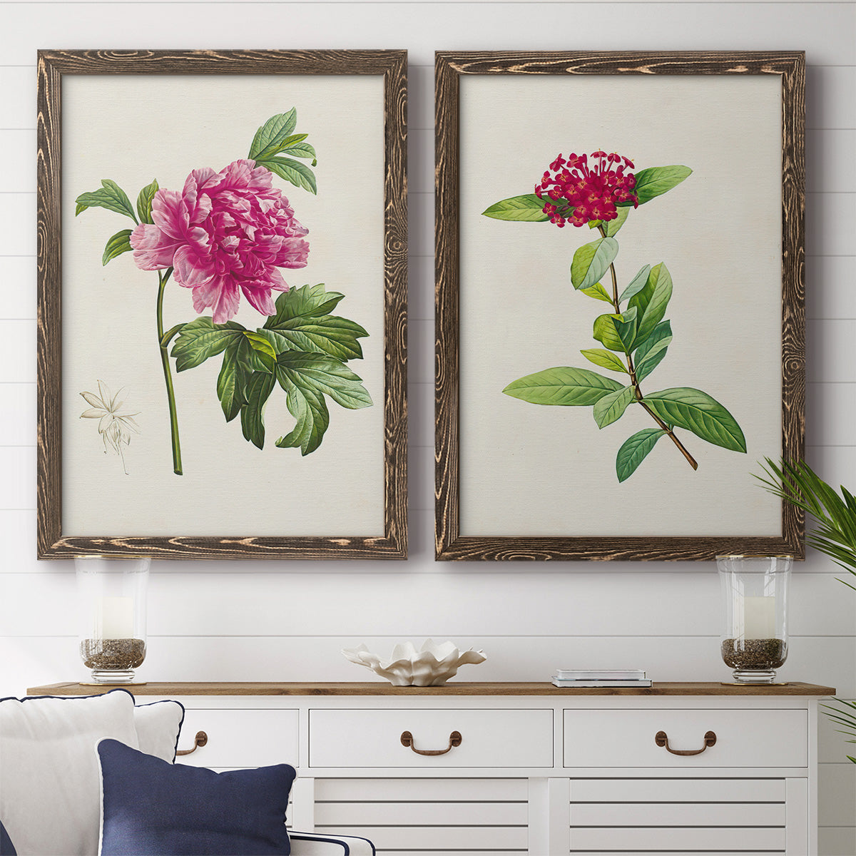 Set of two walnut barnwood framed canvas prints depicting a coordinated art pair of pink flowering plant specimens rendered as vintage botanical plate illustrations above a dining room sideboard.
