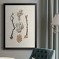 Knorr Shells & Coral V - Modern Framed Canvas Print