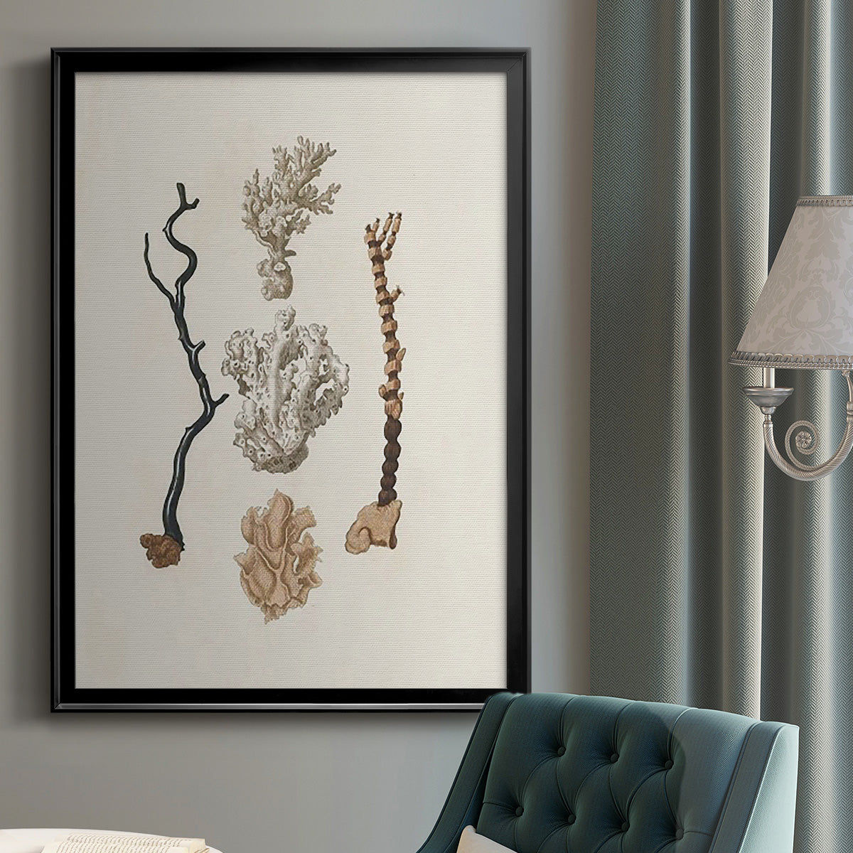 Knorr Shells & Coral V - Modern Framed Canvas Print