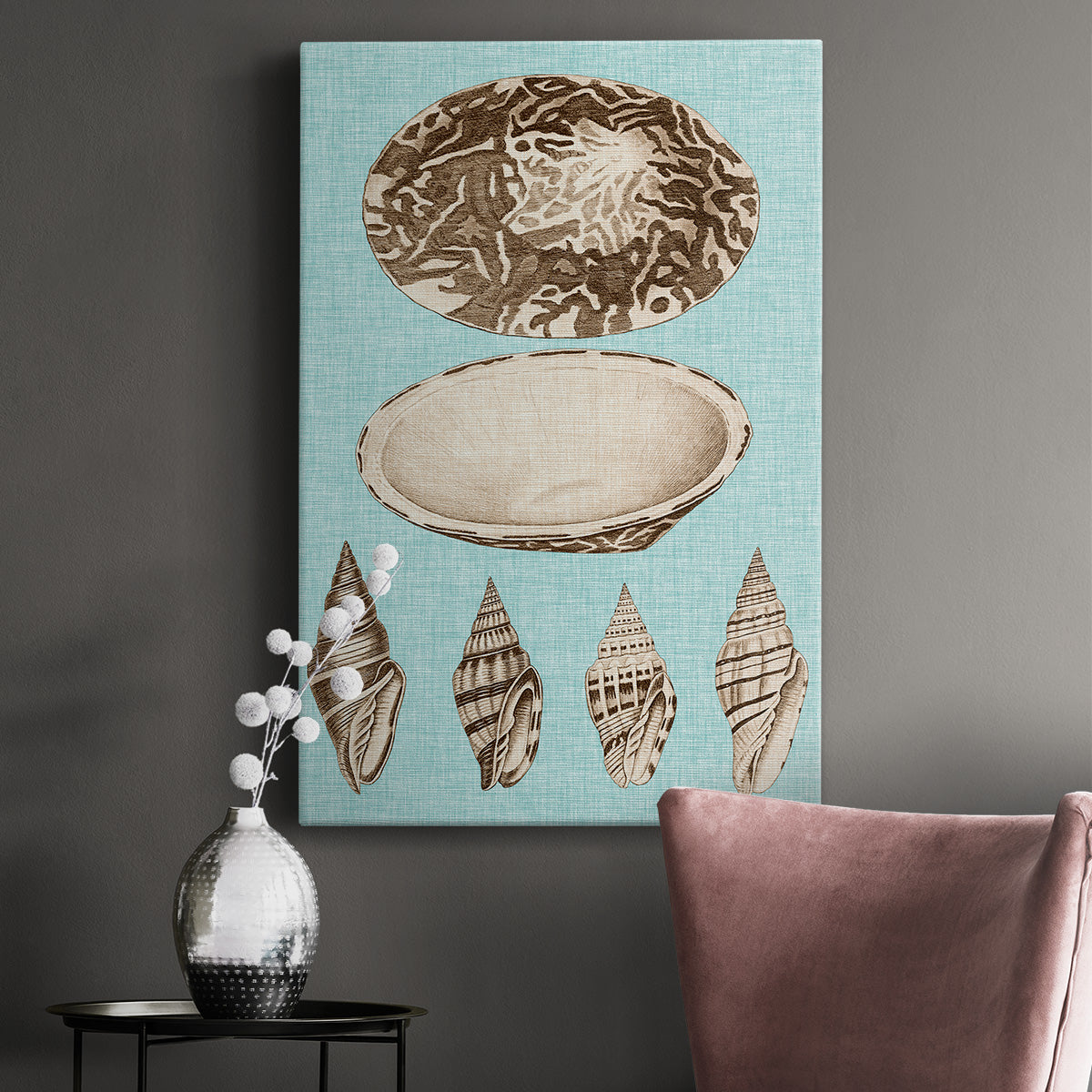 Sepia & Aqua Shells III - Canvas Art Print