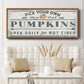 Pumpkin Patch I - Floater Framed Canvas Print