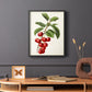Antique Fruit II - Restickable Framed Art Print