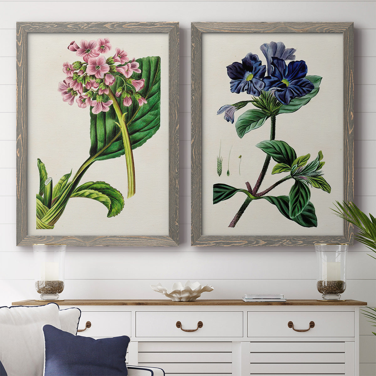 Set of two gray barnwood framed canvas prints depicting a coordinated art pair of colorful flowering plant specimens rendered as antique botanical plate illustrations above a dining room sideboard.