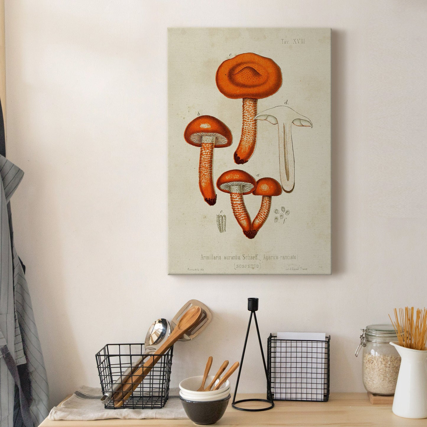 Mushroom Varieties IV Premium Gallery Wrapped Canvas - Ready to Hang