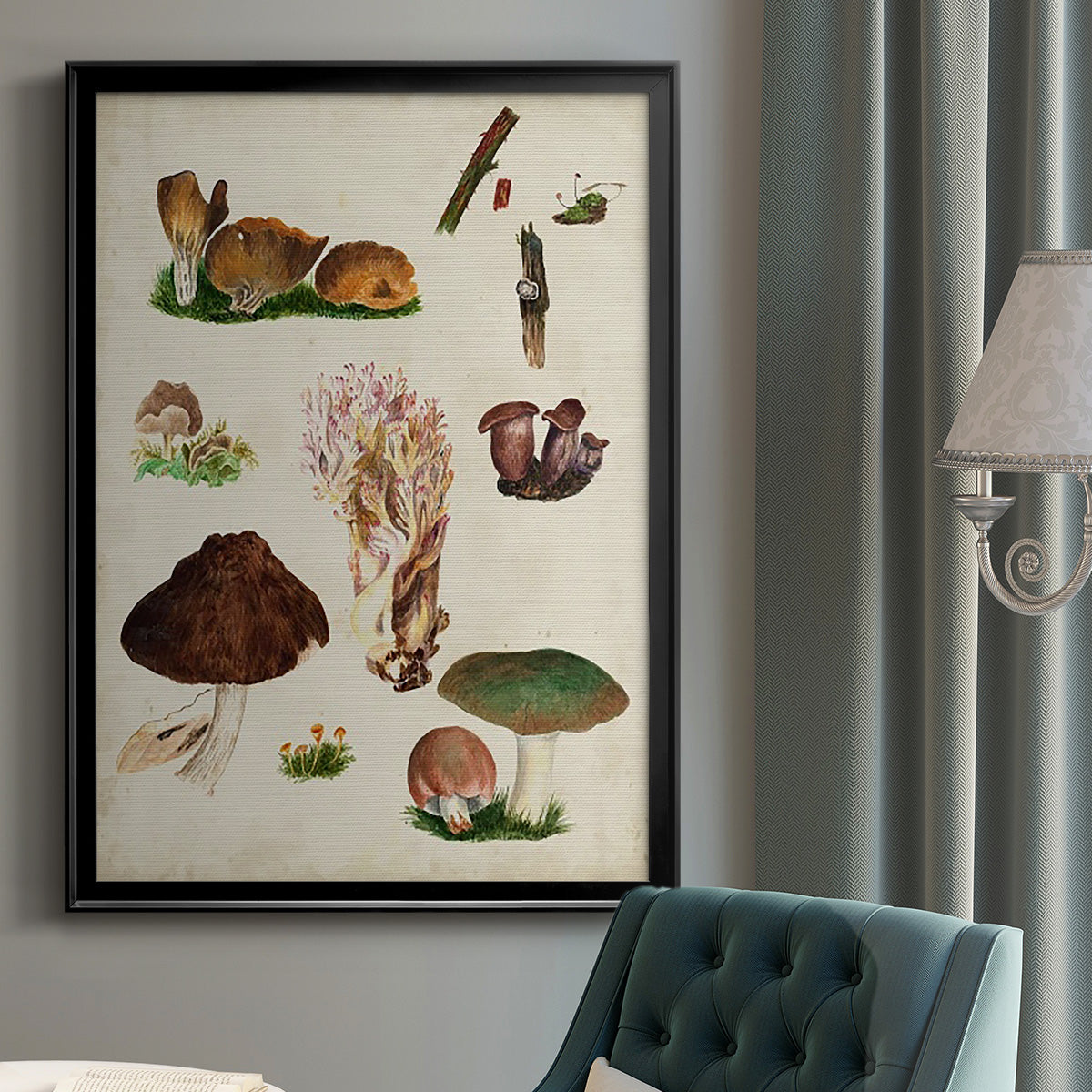 Mushroom Species IX - Modern Framed Canvas Print