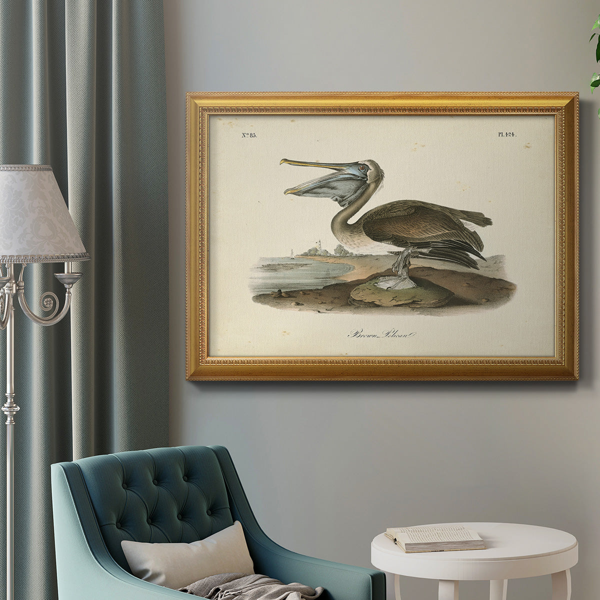 Audubons Brown Pelican - Ornate Framed Canvas Print