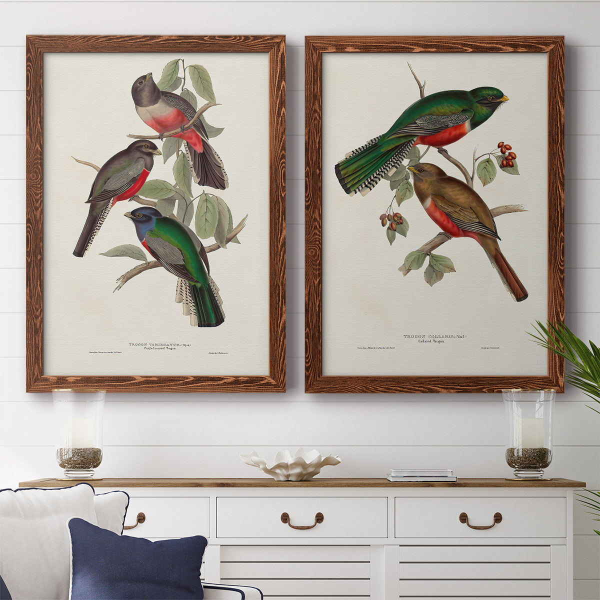 Elegant Trogons V - Premium Framed Canvas 2 Piece Set - Ready to Hang