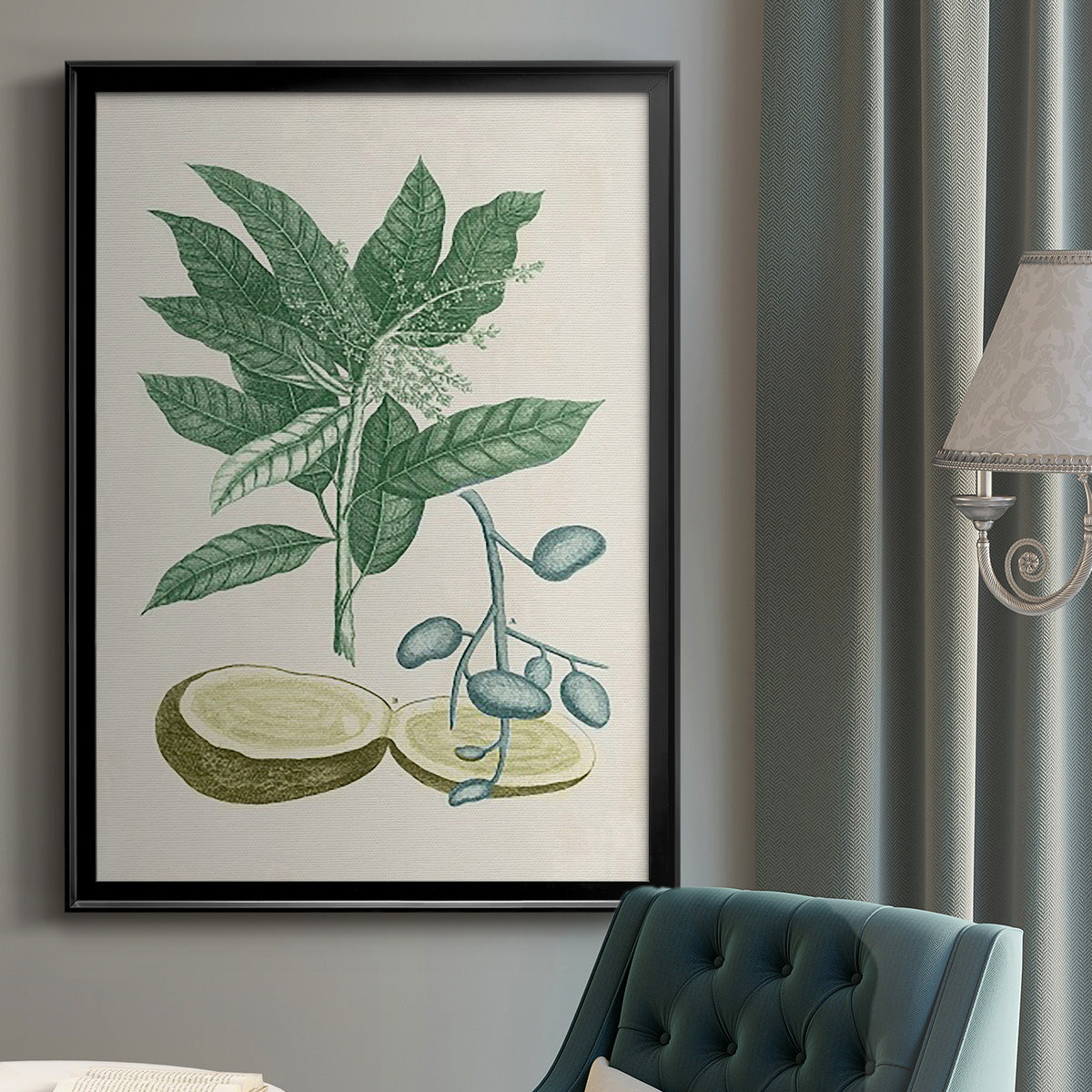 Buchoz Tropicals IV - Modern Framed Canvas Print