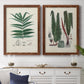 Set of two maple barnwood framed canvas prints depicting a coordinated art pair of vintage fern specimens with botanical details rendered as natural-history fern plates above a dining room sideboard.