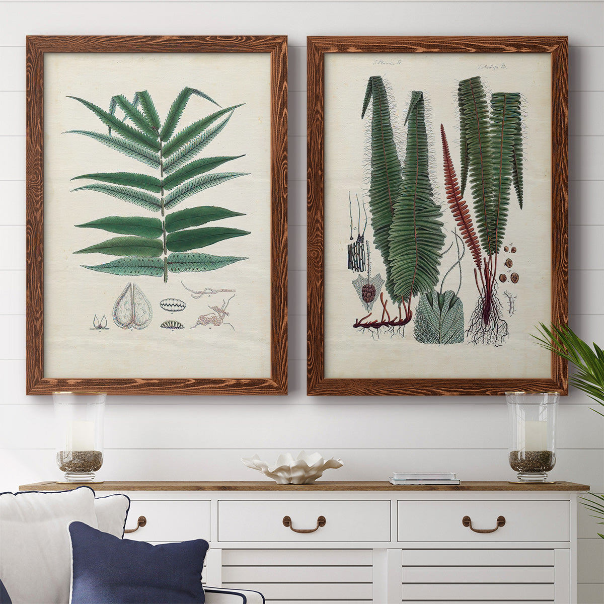 Set of two maple barnwood framed canvas prints depicting a coordinated art pair of vintage fern specimens with botanical details rendered as natural-history fern plates above a dining room sideboard.