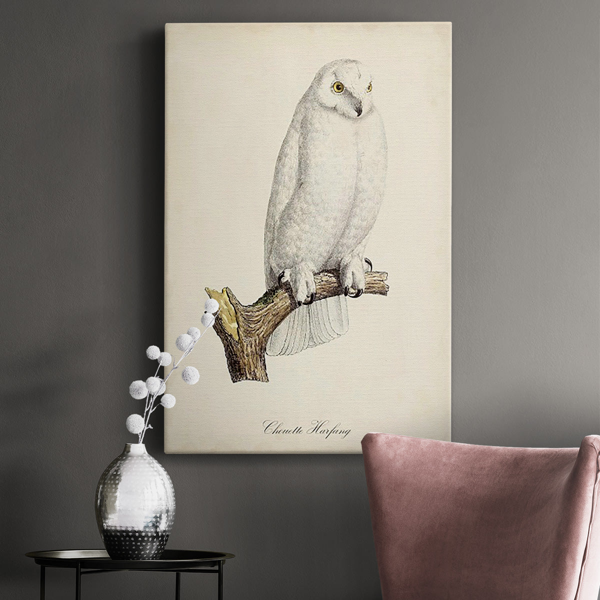 French Owls IV Premium Gallery Wrapped Canvas - Ready to Hang