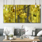 Three-panel canvas wall art featuring backlit aspen trees photograph, displayed in a modern living room above seating.