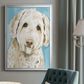 Labradoodle I - Modern Framed Canvas Print