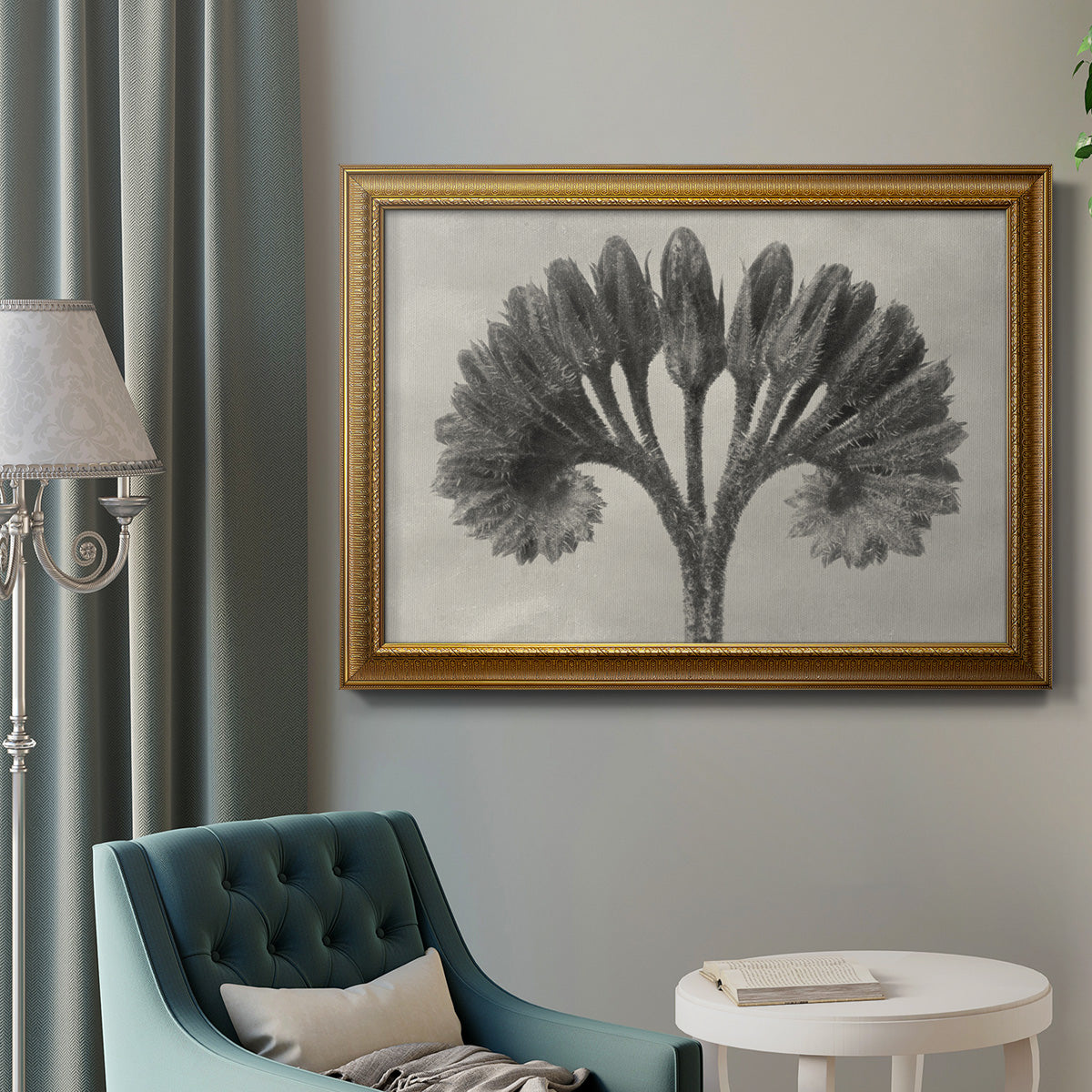 Vintage botanical plant study photograph by Karl Blossfeldt in an ornate traditional gold frame displayed in a neutral interior setting.