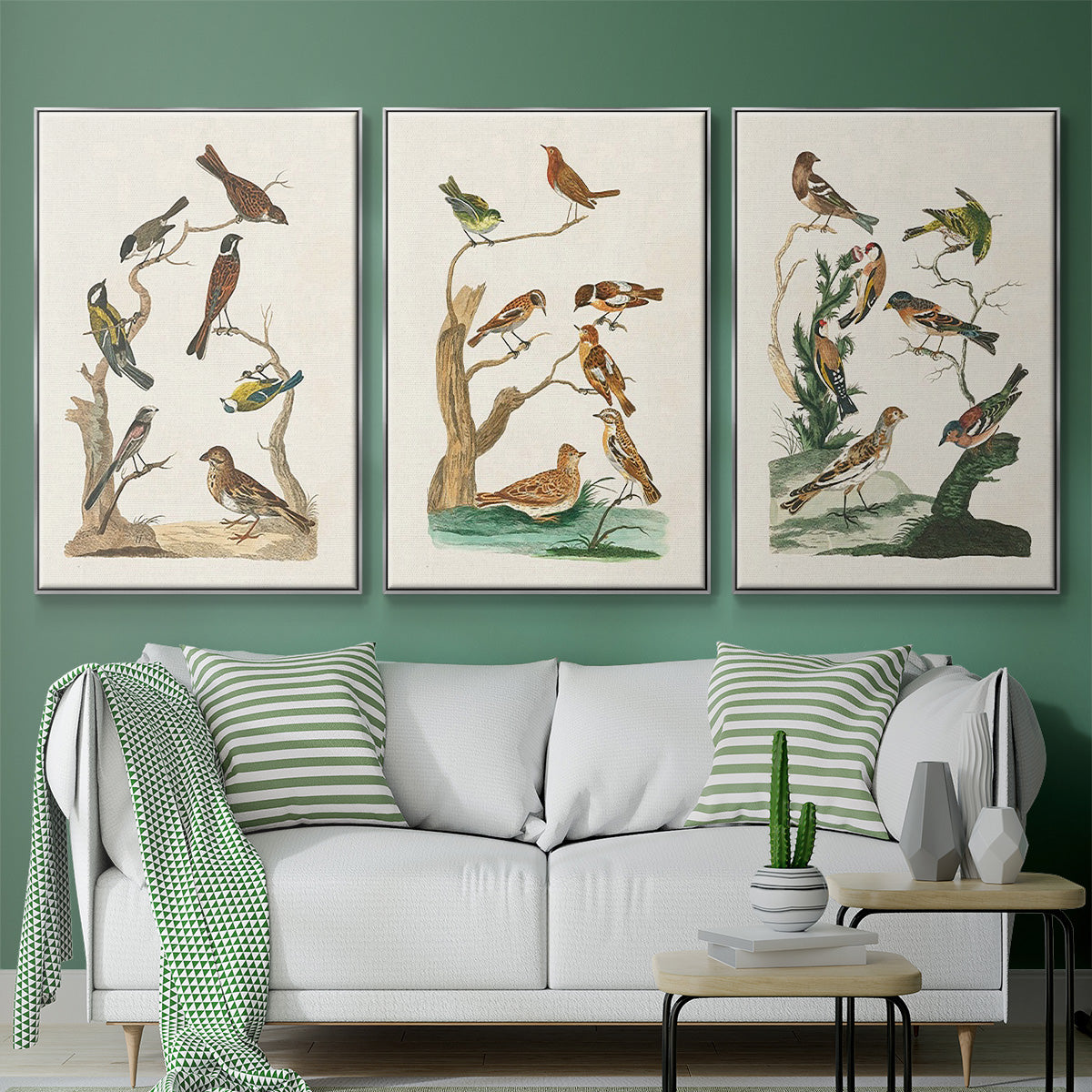 Antique Birds in Nature I - Framed Premium Gallery Wrapped Canvas L Frame 3 Piece Set - Ready to Hang