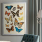 Collected Flutter II - Modern Framed Canvas Print