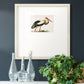 Odd Crane Premium Framed Print Double Matboard