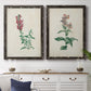 Traditional Botanical I - Premium Framed Canvas 2 Piece Set - Ready to Hang