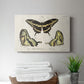 Crackled Butterflies I - Canvas Art Print