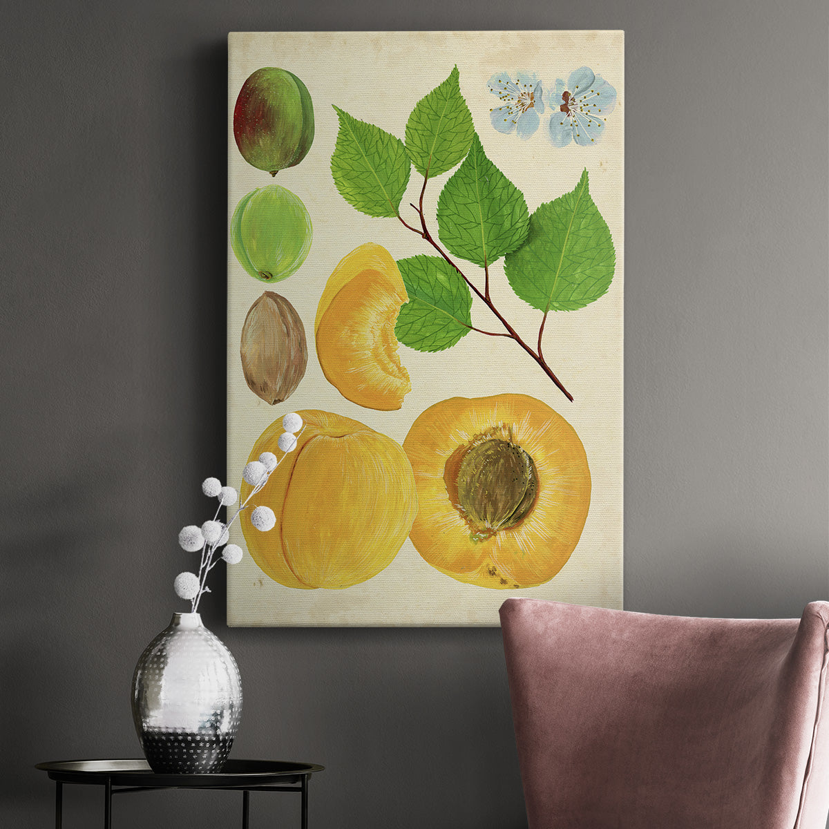 Apricot Study II Premium Gallery Wrapped Canvas - Ready to Hang