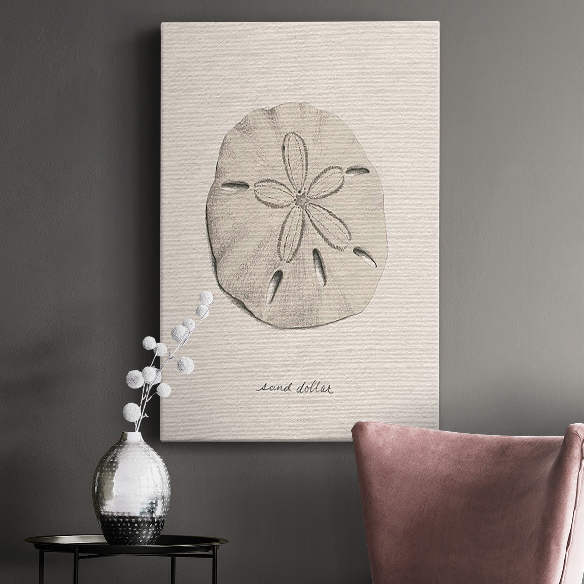 Shore Treasure Study III - Canvas Art Print