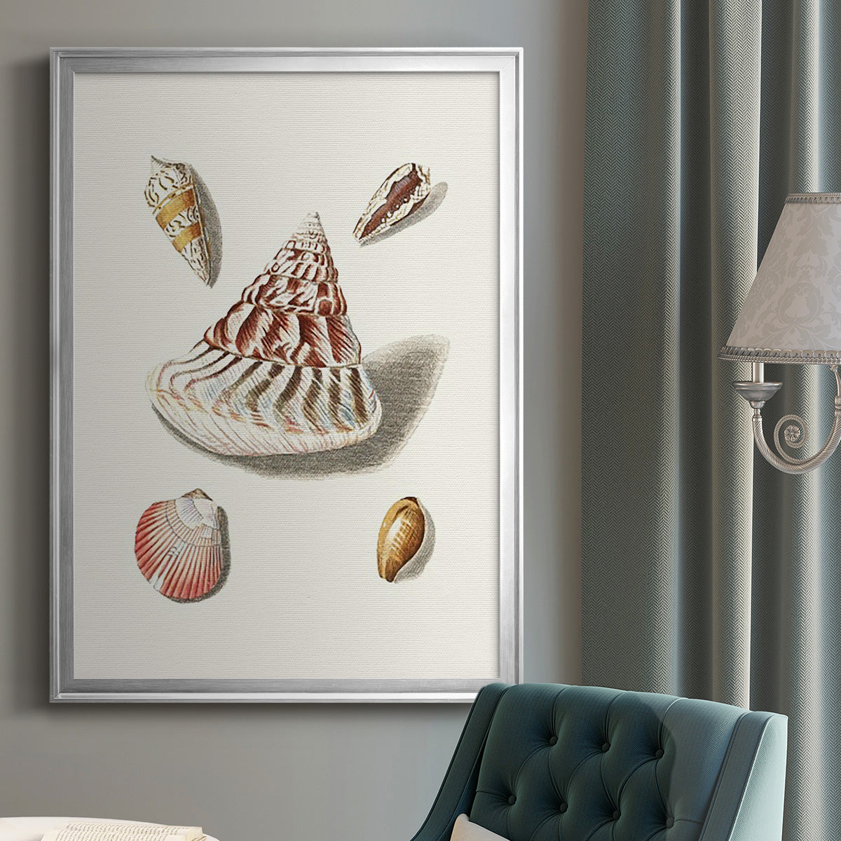 Pastel Knorr Shells VII - Modern Framed Canvas Print