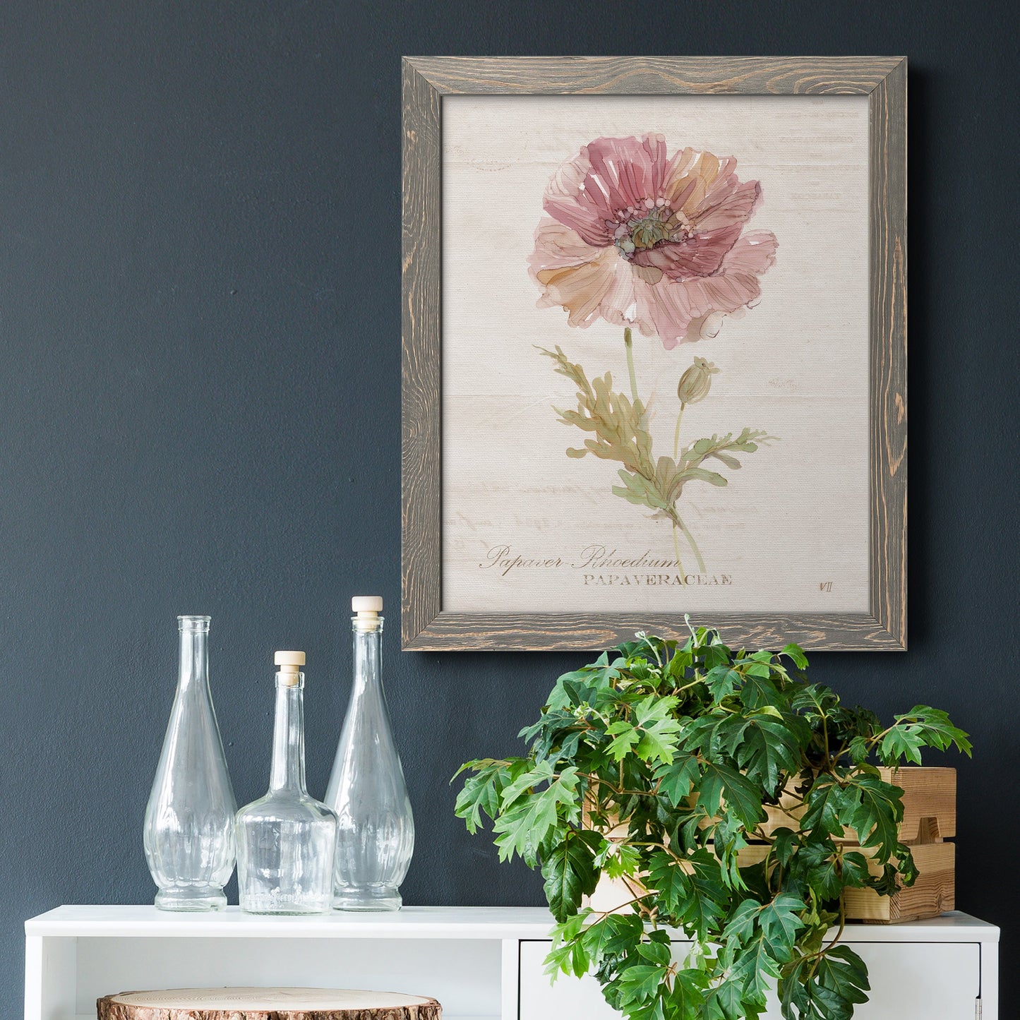 Soft Poppy - Premium Canvas Framed in Barnwood - Ready to Hang