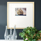 Fridate IV Premium Framed Print Double Matboard