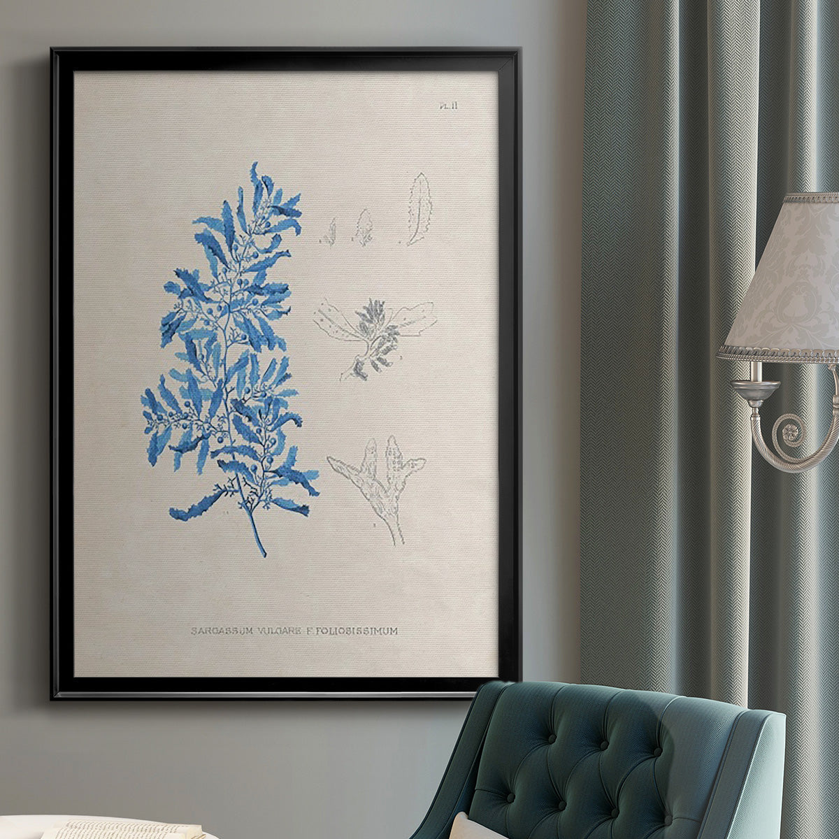 Blue Marine Algae VI - Modern Framed Canvas Print