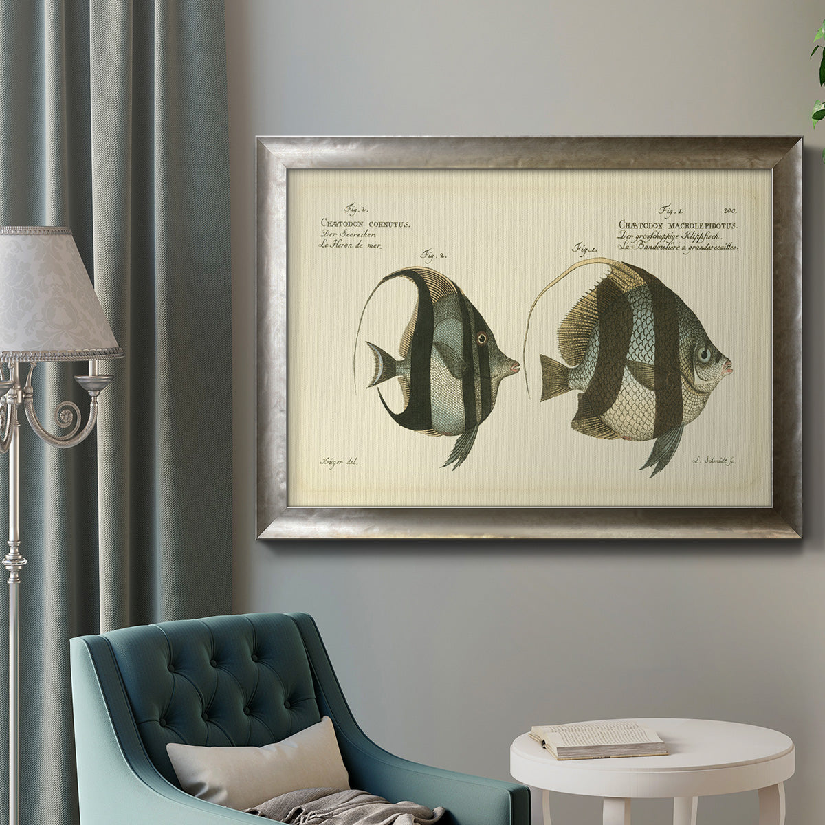 Bloch Antique Fish I Premium Framed Canvas- Ready to Hang