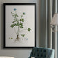 Buttercup Study - Modern Framed Canvas Print