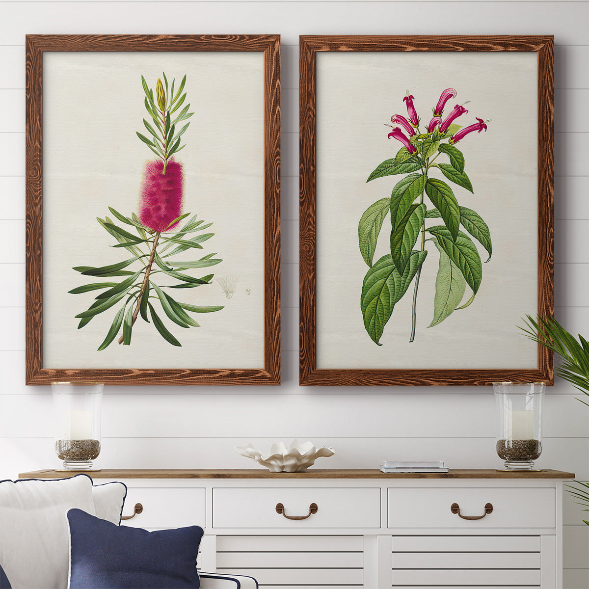 Set of two maple barnwood framed canvas prints depicting a coordinated art pair of pink flowering plant specimens rendered as vintage botanical plate illustrations above a dining room sideboard.