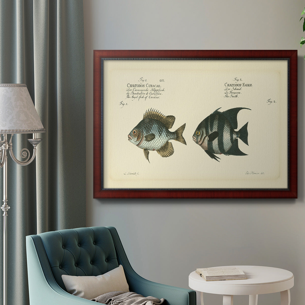 Bloch Antique Fish II Premium Framed Canvas- Ready to Hang