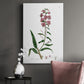 Rose Botanical I - Canvas Art Print