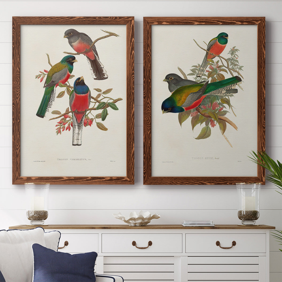 Elegant Trogons IX - Premium Framed Canvas 2 Piece Set - Ready to Hang