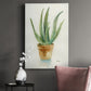 Succulent IV - Canvas Art Print