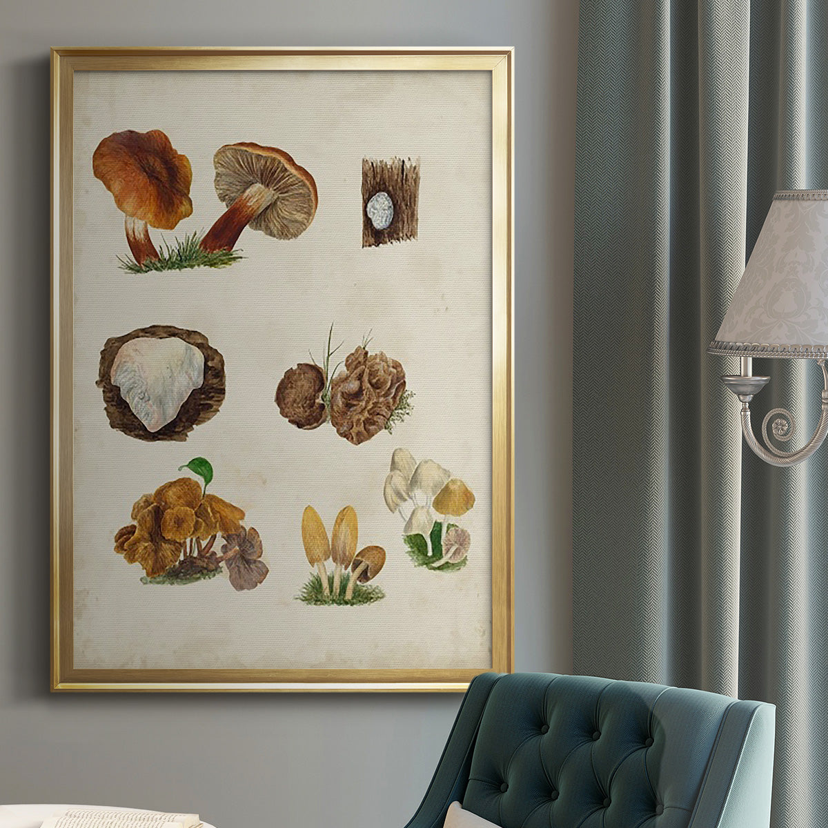 Mushroom Species I - Modern Framed Canvas Print