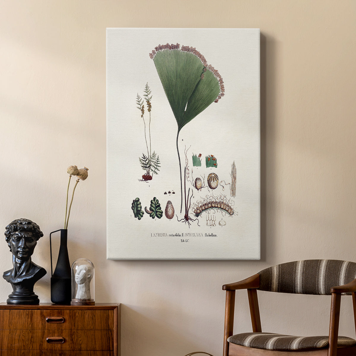 Botanical Society Ferns IX - Canvas Art Print