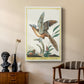 Spotted Andalusian Cuckoo, 1771-1775 - Canvas Art Print
