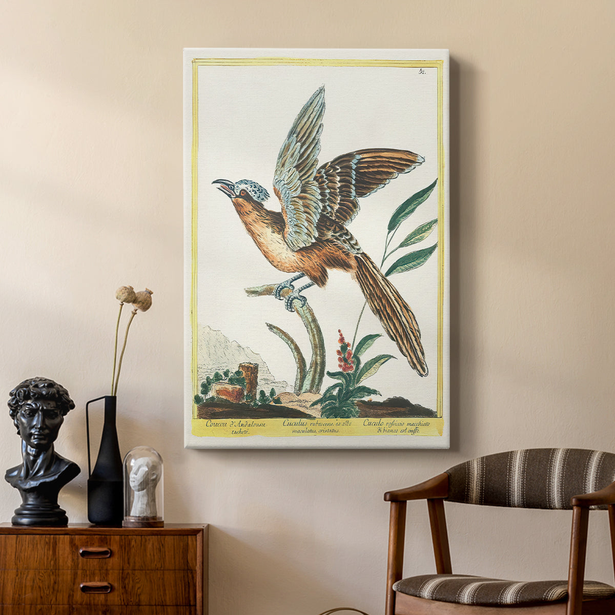 Spotted Andalusian Cuckoo, 1771-1775 - Canvas Art Print