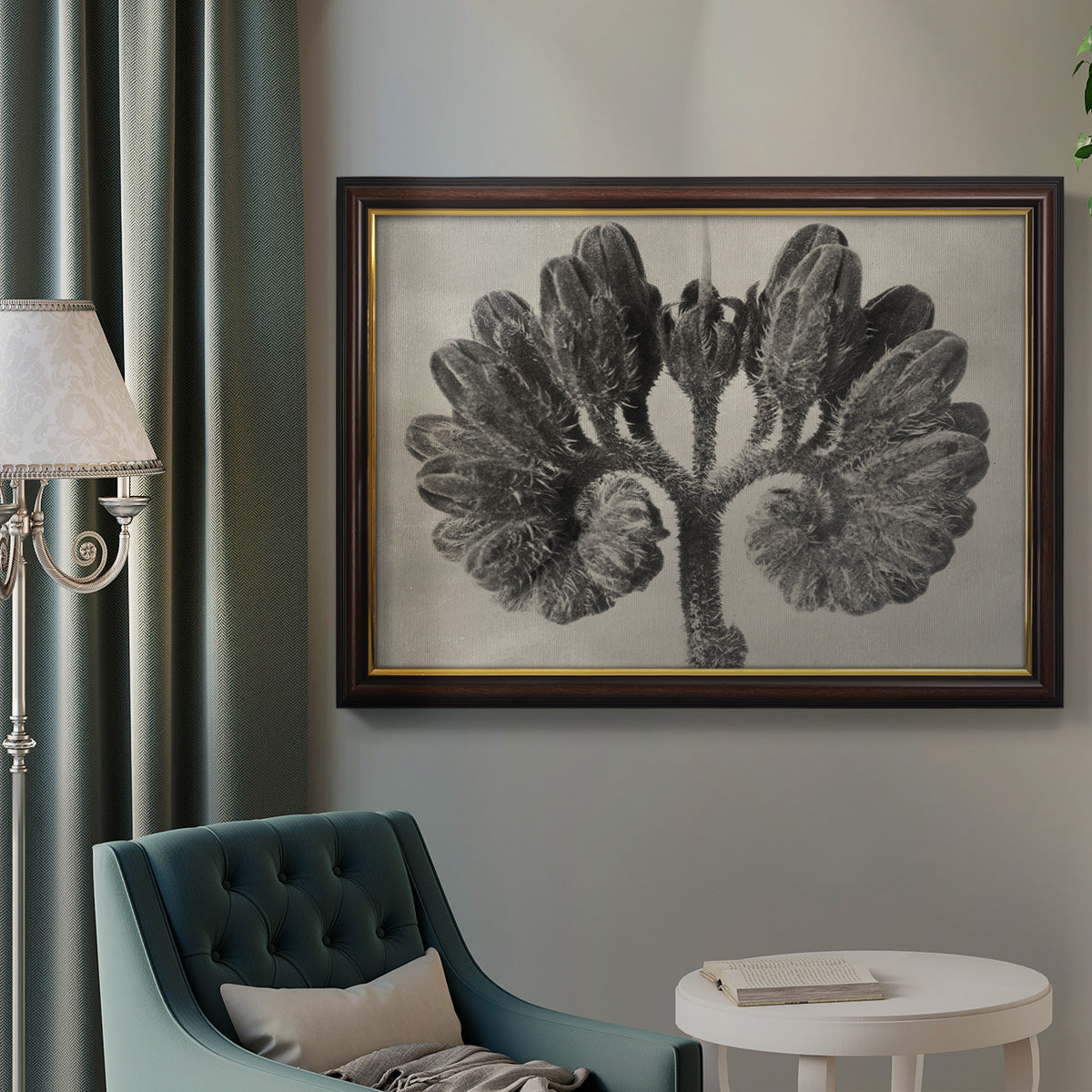 Blossfeldt Botanical VIII Premium Framed Canvas- Ready to Hang