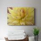 Blooms I - Canvas Art Print