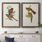 Elegant Trogons I - Premium Framed Canvas 2 Piece Set - Ready to Hang