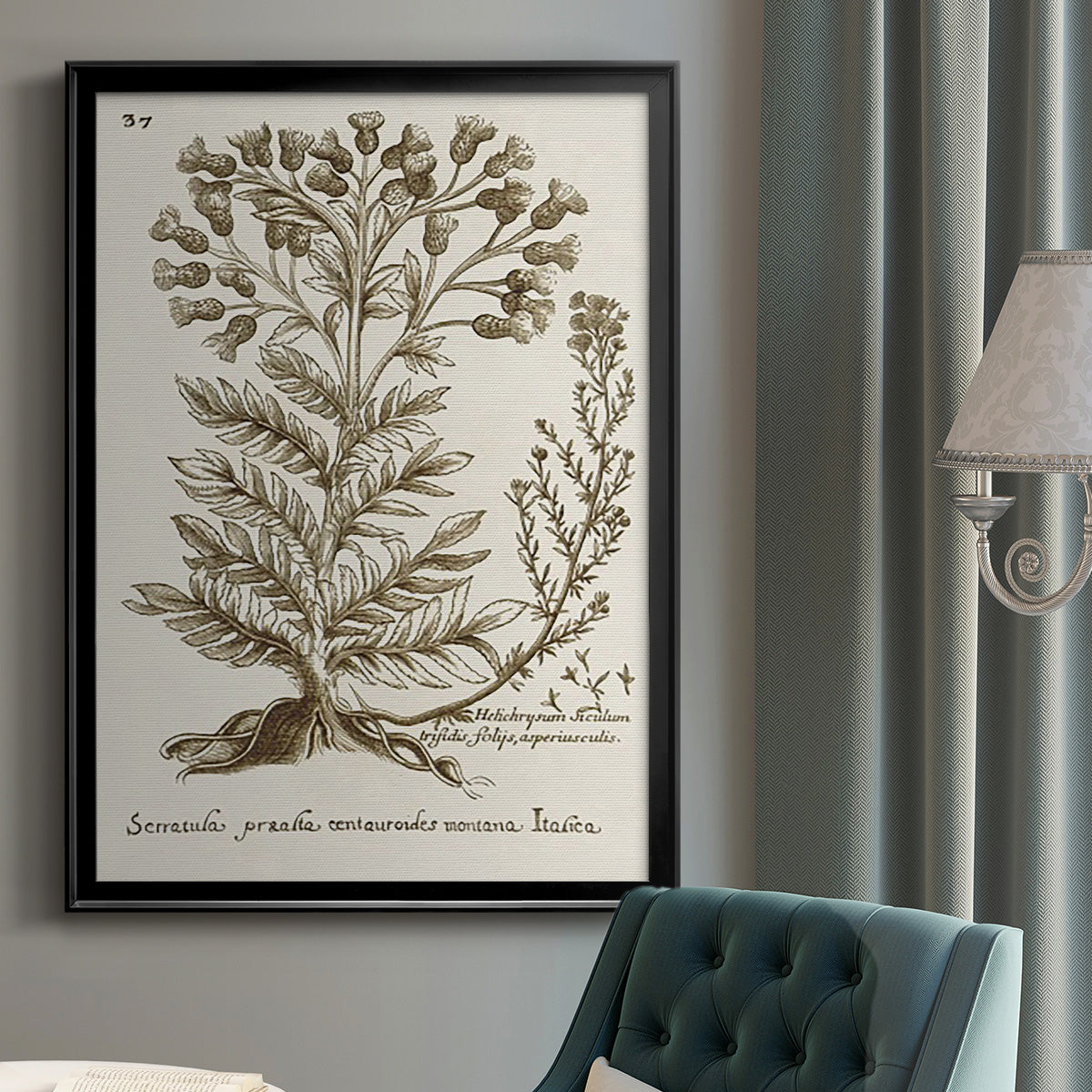 Sepia Botanical Journal I - Modern Framed Canvas Print