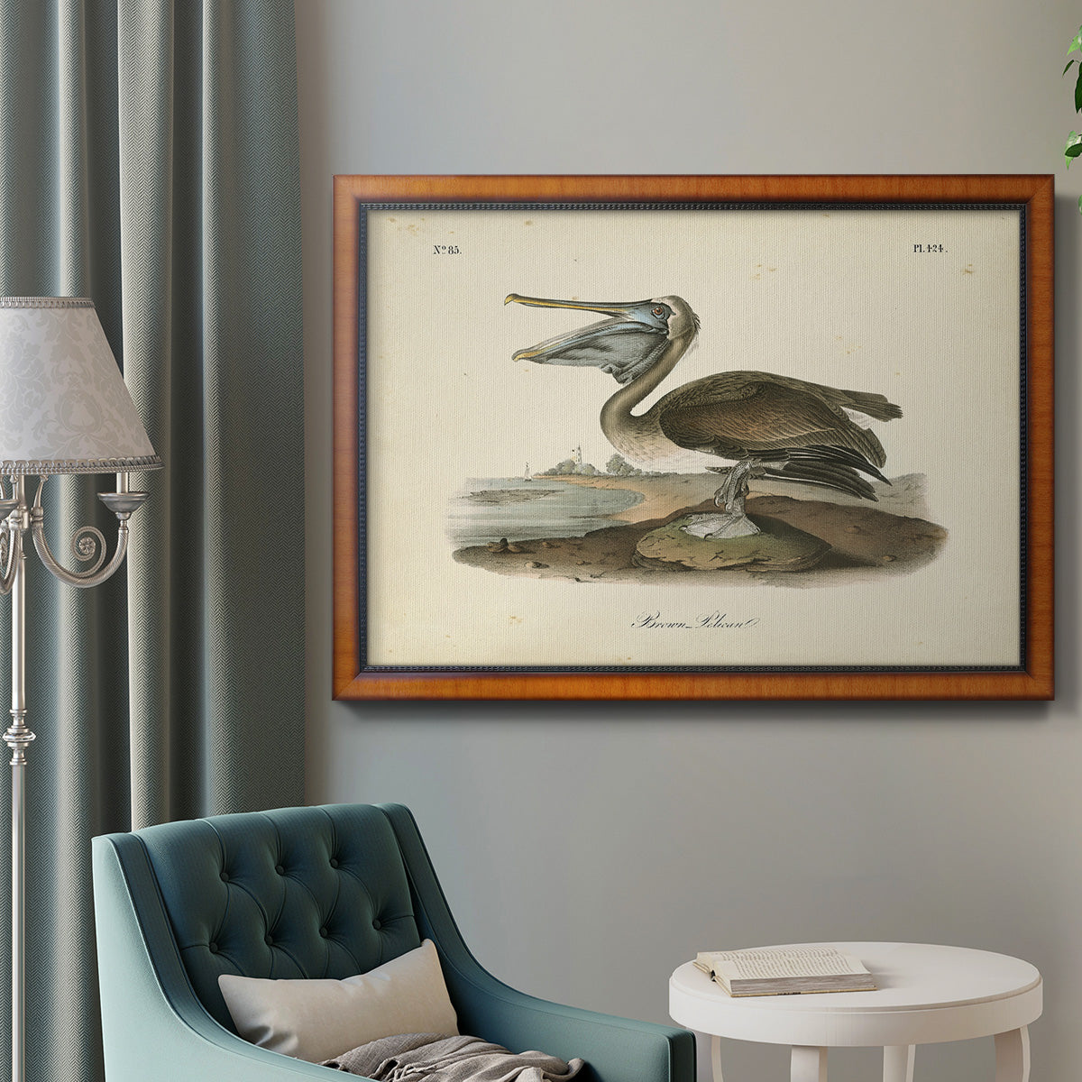 Audubons Brown Pelican - Ornate Framed Canvas Print
