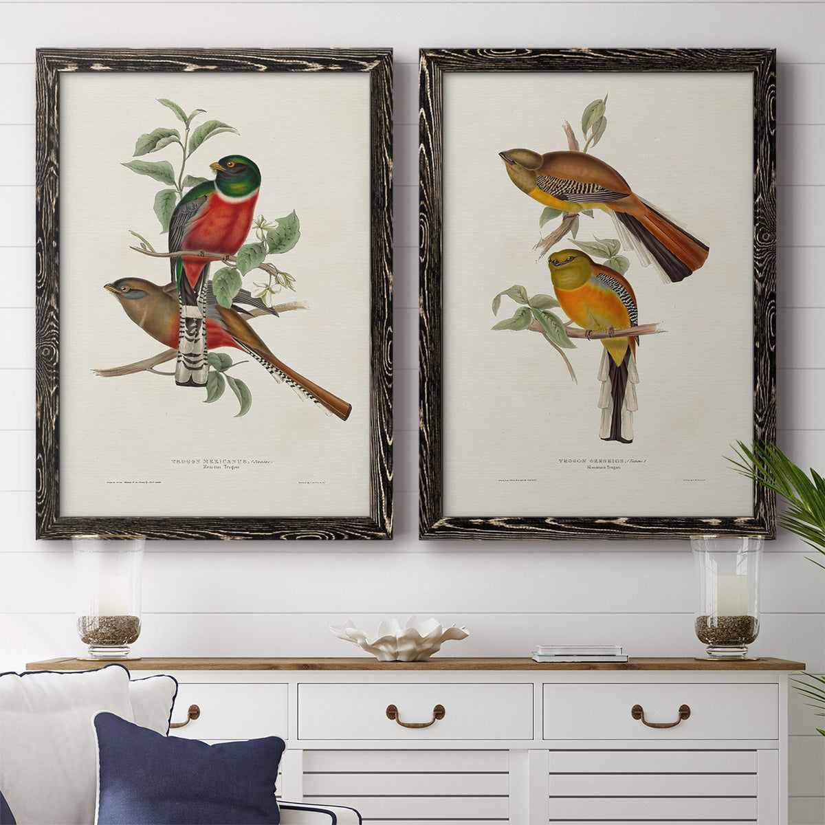 Elegant Trogons I - Premium Framed Canvas 2 Piece Set - Ready to Hang