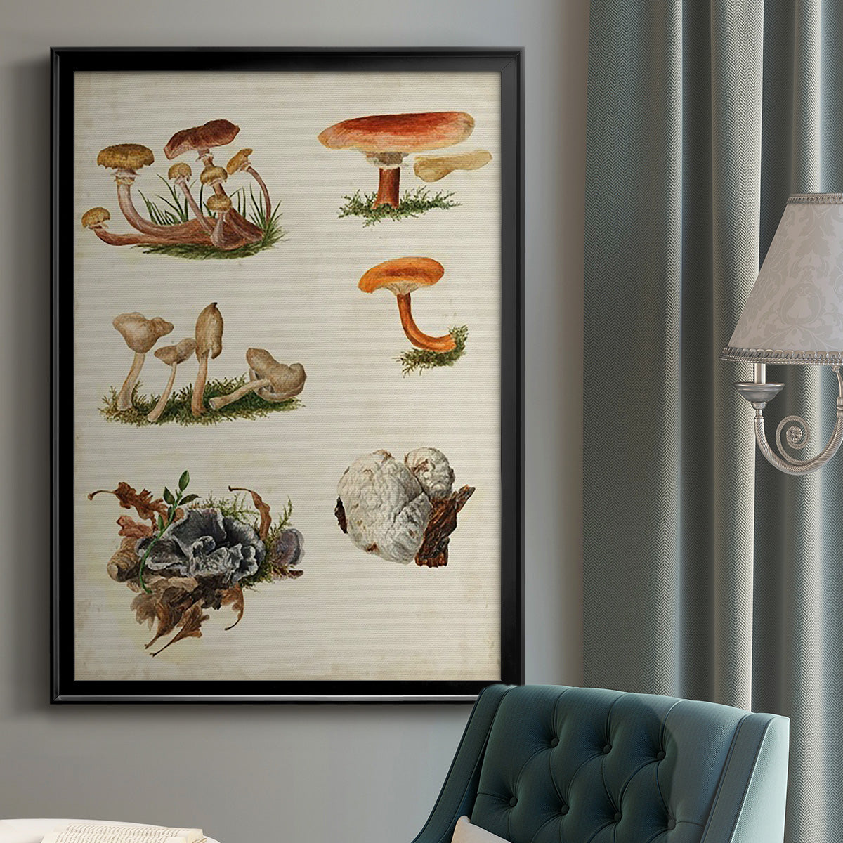 Mushroom Species X - Modern Framed Canvas Print