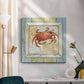 Sea Treasures VIII - Canvas Art Print