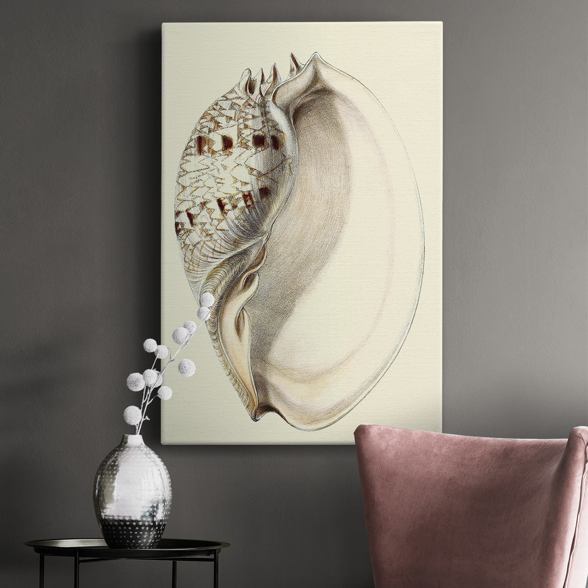 Splendid Shells I Premium Gallery Wrapped Canvas - Ready to Hang